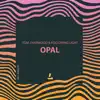 Opal (Spanless Remix) song lyrics