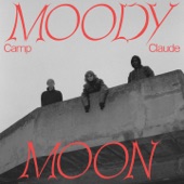 Moody Moon artwork
