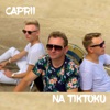 Na Tiktoku - Single