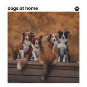 Dogs At Home artwork