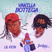 Vanilla Bottega (feat. Joeboy) artwork