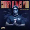 Sorry It Was You - Single album lyrics, reviews, download
