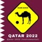 Qatar 2022 (Instrumental) artwork