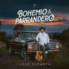 Bohemio & Parrandero