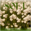 Comfort Music (Soft) - Single