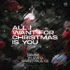 All I Want For Christmas Is You - Single