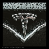 The Trip (Tesla Gigafactory Edit) artwork