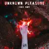 Unkown Pleasure - Single album lyrics, reviews, download