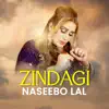 Zindagi - Single album lyrics, reviews, download