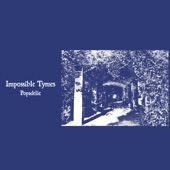 Impossible Tymes - The Things You Love