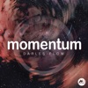 Momentum