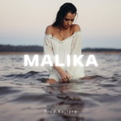 Malika (Oriental Instrumental) artwork