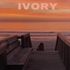 Ivory the Perfect Sunset