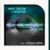 You Are My Light (Radio Edit) [feat. Cecilia Krull] - Single album lyrics, reviews, download