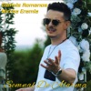 Semnal De Alarma - Single