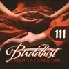 111 Buddhist Meditation Music: Deep Zen Relaxation, OM Chanting, Prayer of Strength and Spiritual Connection album lyrics, reviews, download