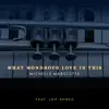 What Wondrous Love Is This - Single (feat. Leif Shires) - Single album lyrics, reviews, download
