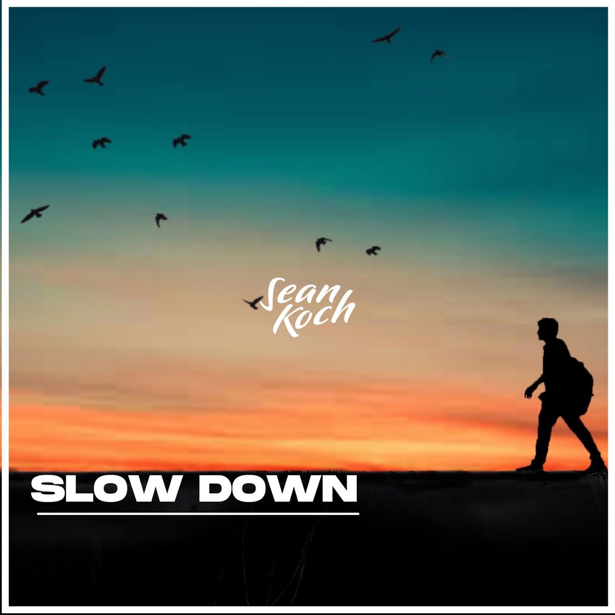Sean Koch - Slow Down - Single