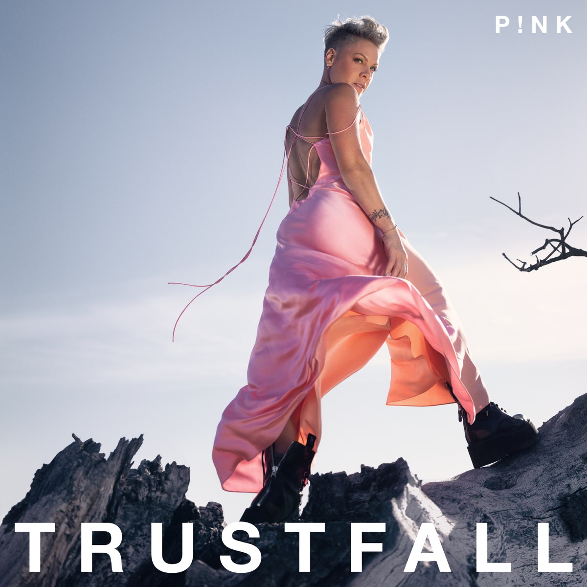 pink tour trustfall