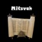 Diles - Mitzvah lyrics