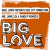 Brotherly Love (Nigel Lowis Presents) - EP