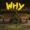 Jackson Wang - Why Why Why artwork