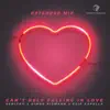 Can't Help Falling In Love (Extended Mix) song lyrics