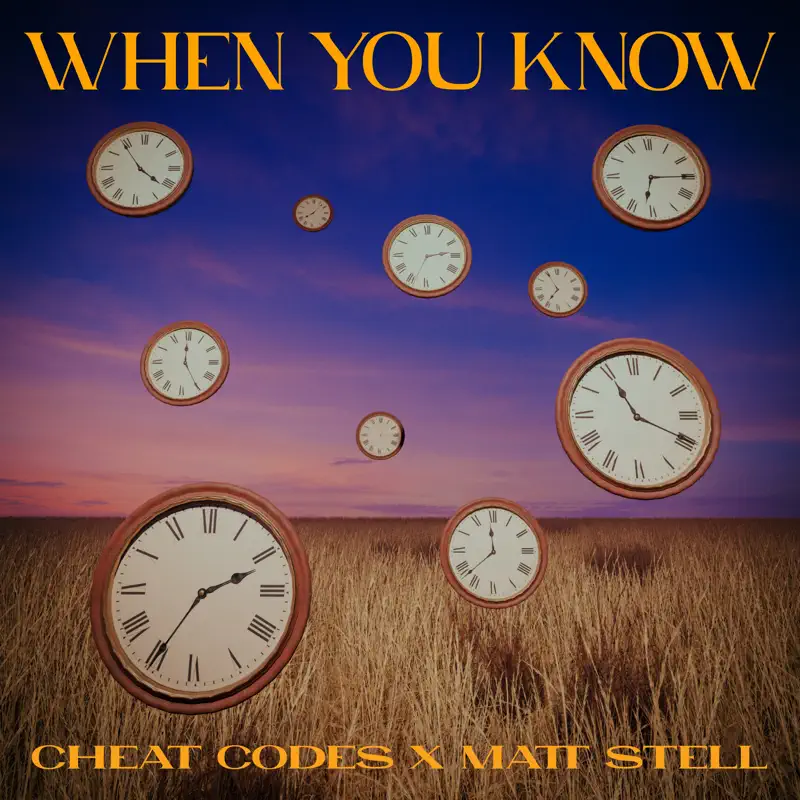 Cheat Codes & Matt Stell - When You Know - Single (2022) [iTunes Plus AAC M4A]-新房子