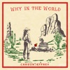Why In the World - Single