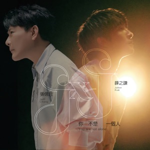 Jeff Chang (張信哲) & Joker Xue (薛之謙) - You're Not Alone (你不是一個人) - Line Dance Music
