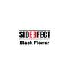 Black Flower - Single album lyrics, reviews, download