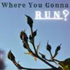 Stream & download Where You Gonna Run? (feat. Chris Ellis & Kristin Staves) - Single