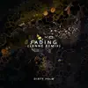 Fading (LANNÉ Remix) - Single album lyrics, reviews, download