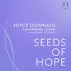 Stream & download Seeds of Hope - Single