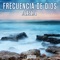 Frecuencia de Dios, Brillo de Luz cover