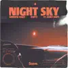 Night Sky (feat. Rory Hope) - Single album lyrics, reviews, download