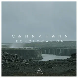 last ned album Cannahann - Echolocation