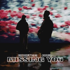 Missing You (feat. Nael)