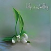 Lily of the Valley - EP