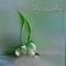 Lily of the Valley cover