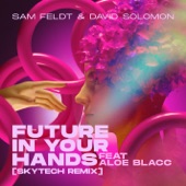 Future In Your Hands (feat. Aloe Blacc) [Skytech Remix] artwork