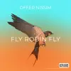 Stream & download Fly Robin Fly - Single