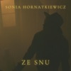 Ze Snu - Single
