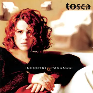 baixar álbum Tosca - Incontri E Passaggi