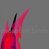 Museum Birds artwork