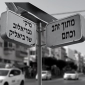 מתוך זהב וכתם - מיקי גבריאלוב שר ביאליק artwork