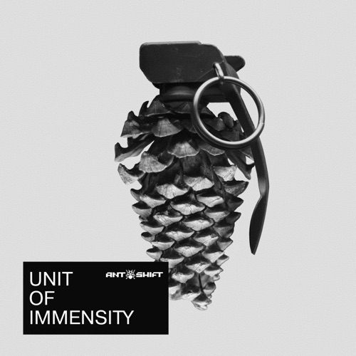 cover for track Unit of Immensity of artist Ant+Shift