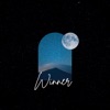 Winner - Single