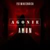 Agonie - Single album lyrics, reviews, download
