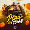 Stream & download Pequi de Goiás - Single